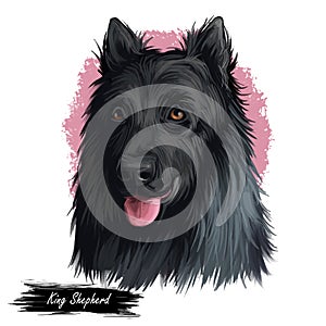 King Shepherd dog digital art illustration isolated on white background. Unitd States origin shepherd dog. Pet hand drawn portrait