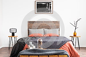 King size bed with orange and grey bedding between two wooden nightstand with lamp and vase