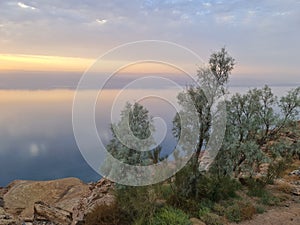 King Talal Dam is a lake in Jordan