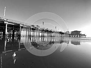 King Tide in Santa Monica