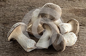 King trumpet mushroom on a background of wood texture.