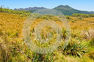 At the King William Saddle - Tasmania