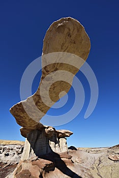 King of Wings, Ah-Shi-Sle-Pah Wilderness Study Area