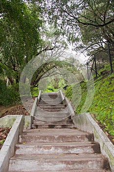 King's Park: Forest Stairs