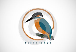 Kingfisher bird in a circle. Kingfisher bird logo design template vector