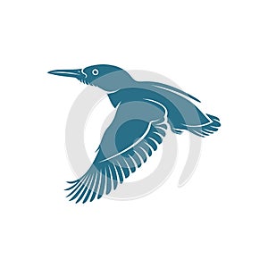 Kingfisher Bird design vector illustration, Creative Kingfisher Bird logo design concepts template, icon symbol photo