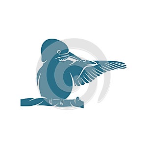 Kingfisher Bird design vector illustration, Creative Kingfisher Bird logo design concepts template, icon symbol photo