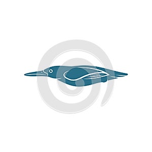 Kingfisher Bird design vector illustration, Creative Kingfisher Bird logo design concepts template, icon symbol photo