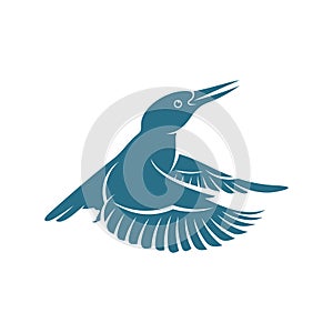 Kingfisher Bird design vector illustration, Creative Kingfisher Bird logo design concepts template, icon symbol photo