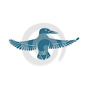 Kingfisher Bird design vector illustration, Creative Kingfisher Bird logo design concepts template, icon symbol photo