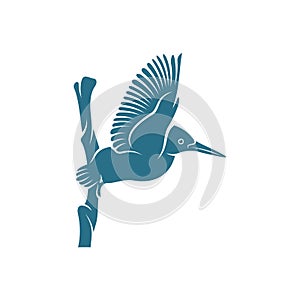Kingfisher Bird design vector illustration, Creative Kingfisher Bird logo design concepts template, icon symbol photo