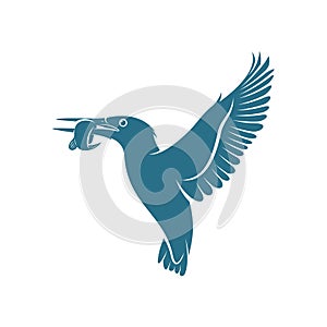 Kingfisher Bird design vector illustration, Creative Kingfisher Bird logo design concepts template, icon symbol photo