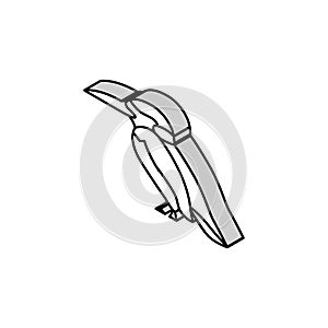 kingfisher bird exotic isometric icon vector illustration photo