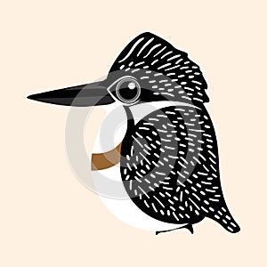 Kingfisher cartoon vector, Crested Kingfisher cartoon vector. photo