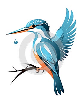 Kingfisher style logo design with various shades of blue on white background