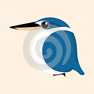 Kingfisher cartoon vector, Collared kingfisher cartoon vector. photo