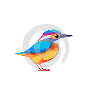 Kingfishers or Alcedinidae are a family, brightly colored birds in the order Coraciiformes. Bird cartoon flat beautiful