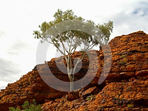 Kings Canyon - Australia
