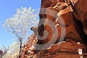 Kings Canyon in the Northern Territory Australia