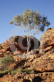 Kings Canyon NT Australia