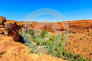 Kings Canyon Outback Australia