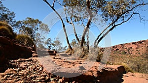 Kings Canyon rim walk landscape. Watarrka National Park. Northern Territory. Australia