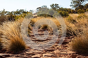 Kings Canyon walking trail, Red Center, Australia