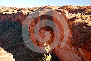 Kings Canyon. Watarrka National Park, Northern Territory, Australia