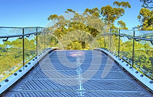 Kings Park Federation Walkway