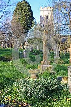 Kingskerswell church graveyard