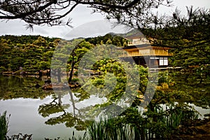 Kinkaku ji-Japan-Goldenweek-2019