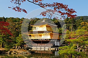 Kinkaku-ji Temple