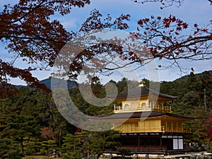 Kinkaku-ji Temple