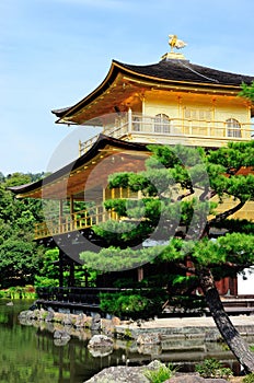 Kinkaku-ji (Temple of the golden Pavilion) in Kyoto, Japan