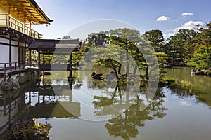 Kinkaku-ji, Temple of the Golden Pavilion, a Zen Buddhist temple, one of most popular buildings in Japan located Kyoto