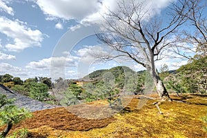 Kinkaku-ji Temple, Kyoto, Japan