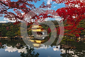 Kinkaku-ji Temple with Red leaf in Autumn season