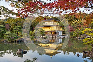 Kinkakuji in autumn season, famous Golden Pavilion at Kyoto, Japan