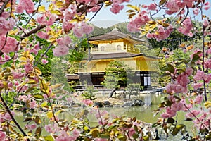 Kinkakuji Golden Pavilion, Kyoto, Japan photo