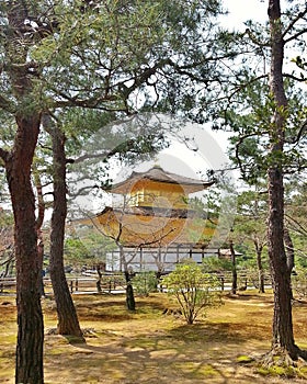 Kinkakuji or Golden Pavillion
