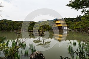 Kinkakuji golden pavillion in kyoto