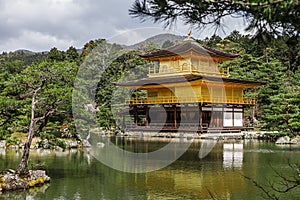 Kinkakuji golden temple in springtime, Kyoto Japan