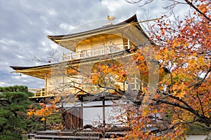 Kinkakuji Temple in autumn season, the Golden Pavilion in Kyoto, Japan