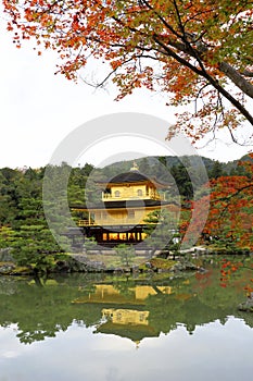 Kinkakuji Temple (The Golden Pavilion) in Kyoto