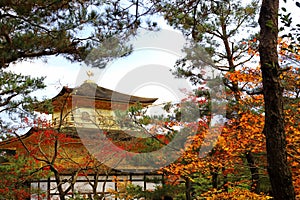 Kinkakuji Temple (The Golden Pavilion) in Kyoto