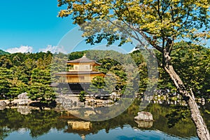 Kinkakuji Temple The Golden Pavilion in Kyoto, Japan