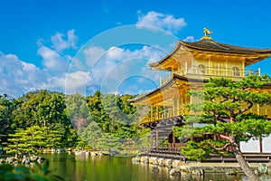 .Kinkakuji Temple The Golden Pavilion in Kyoto, Japan