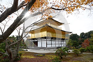 Kinkakuji Temple The Golden Pavilion in Kyoto, Japan