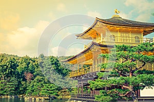 Kinkakuji Temple The Golden Pavilion in Kyoto, Japan ( Filter