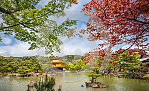 Kinkakuji Temple (The Golden Pavilion) in Kyoto, Japan